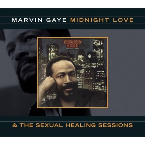 MARVIN GAYE - SEXUAL HEALING