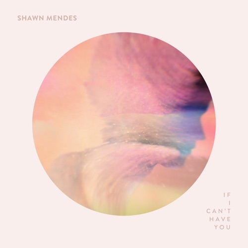 SHAWN MENDES - IF I CAN`T HAVE YOU