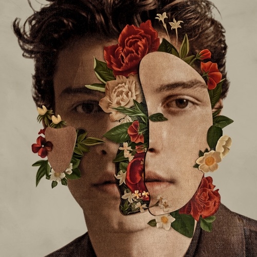 SHAWN MENDES - WHY WHY WHY